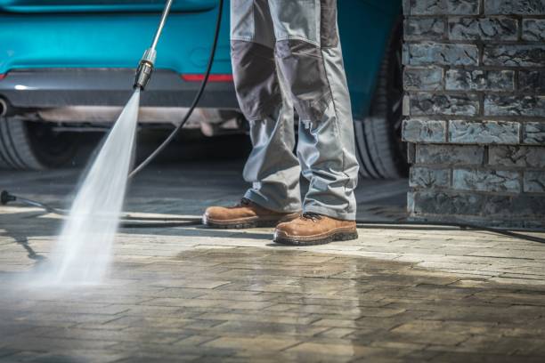 Best Spring Cleaning  in Steger, IL