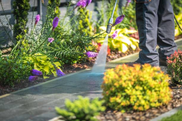 Best Fence Cleaning  in Steger, IL